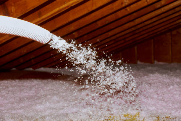 Best Eco-Friendly Insulation in Blue Point, NY