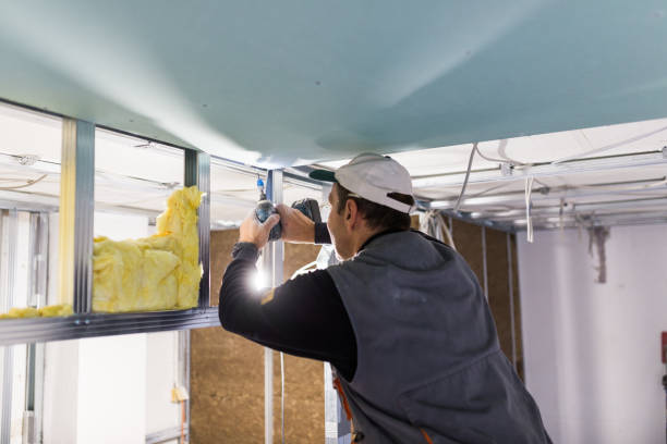 Best Specialized Insulation Services in Blue Point, NY